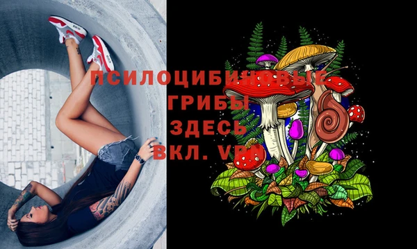 гашиш Богородск