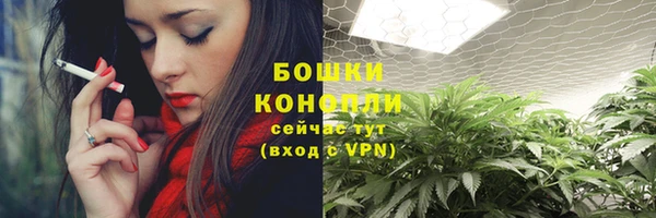 прущие крисы Богданович