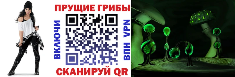Галлюциногенные грибы GOLDEN TEACHER  Купить где  Чегем 